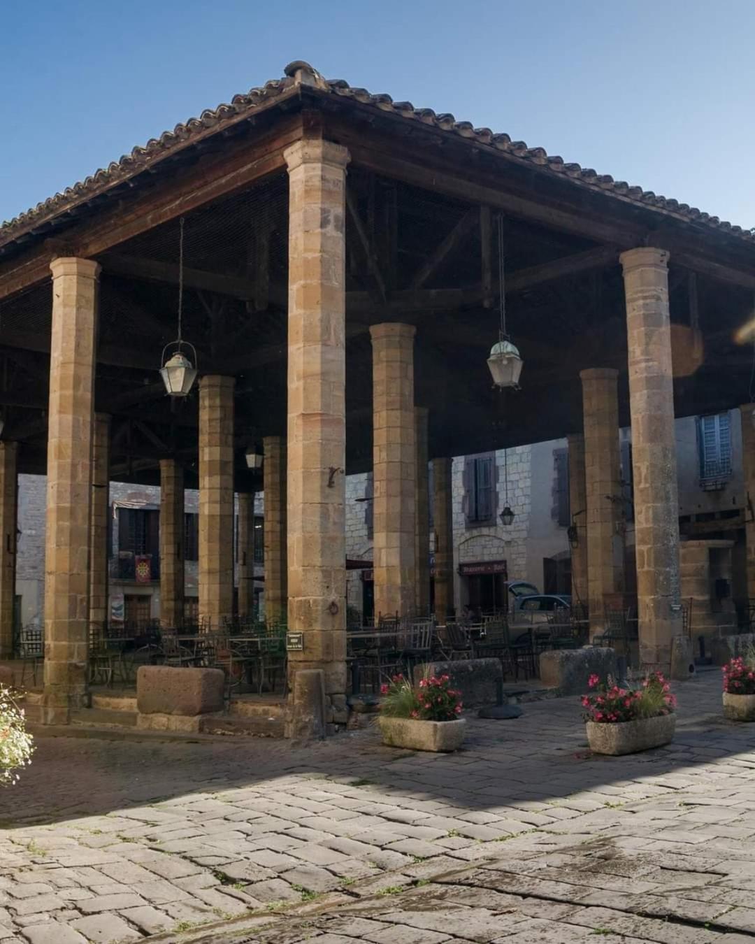 Vegetal Jungle Bed & Breakfast Blaye-Les-Mines Exterior photo